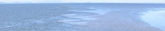 surface manifestation of a front along the shoal/channel interface in South San Francisco Bay, February 2008